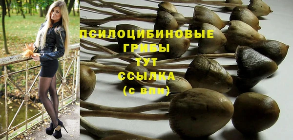 не бодяженный Нягань