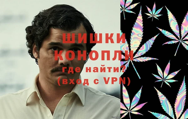 хмурый Тайга