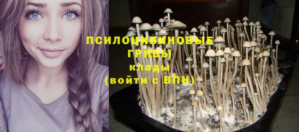 COCAINE Няндома