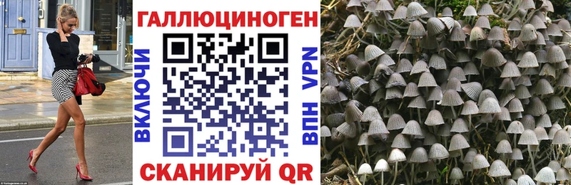 Псилоцибиновые грибы ЛСД как найти закладки Курчатов
