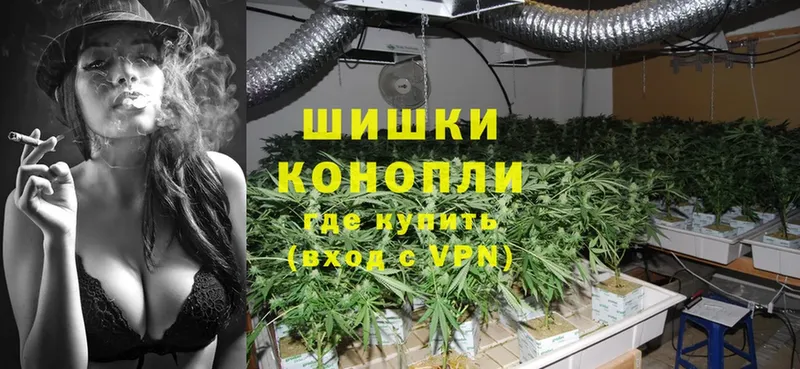 Бошки марихуана SATIVA & INDICA  купить   Курчатов 