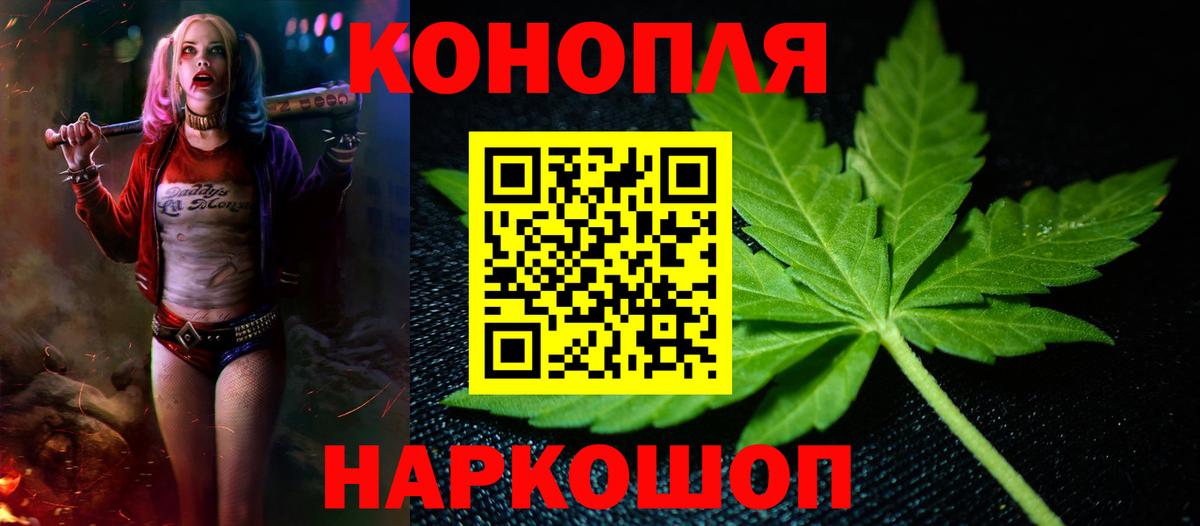 Курчатов  Бошки марихуана White Widow  Конопля Amnesia  Каннабис MAZAR  Вход с VPN  Конопля сатива 